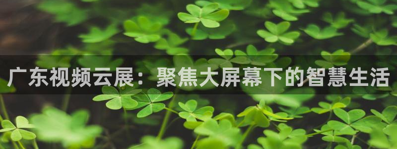 833直播下载安装：广东视频云展：聚焦大屏幕下的智慧生活