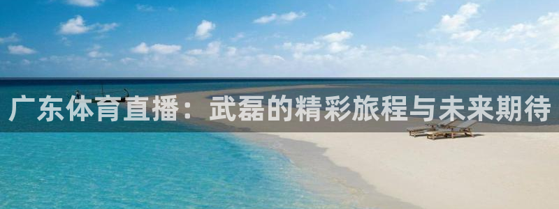 nba833直播：广东体育直播：武磊的精彩旅程与未来期待