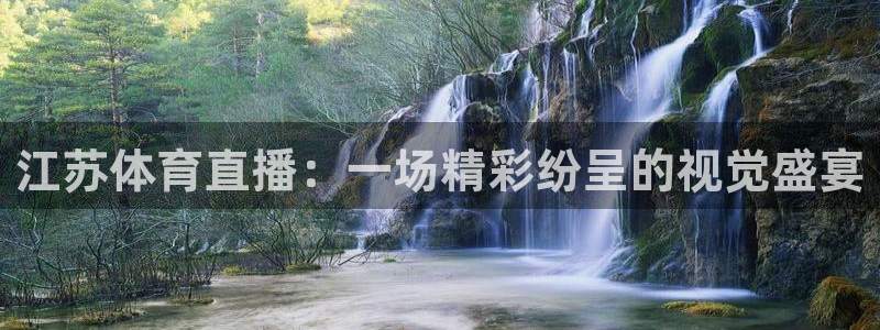 833直播下载安装：江苏体育直播：一场精彩纷呈的视觉盛宴