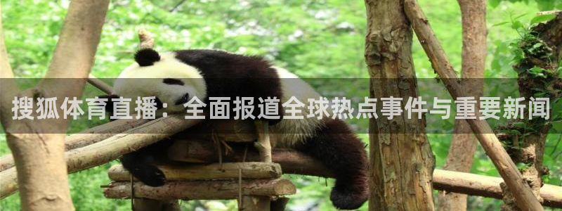 833直播免费体育直播下载：搜狐体育直播：全面报道全球热点事件与重要新闻