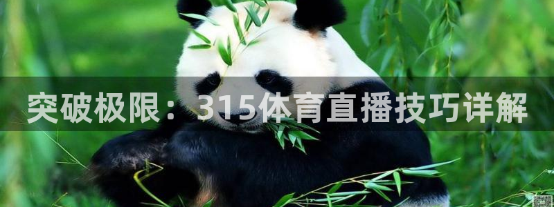 833直播比赛免费观看入口：突破极限：315体育直播技巧详解