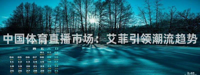 833直播nba在线直播播放：中国体育直播市场：艾菲引领潮流趋势