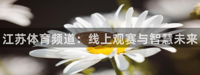 833直播体育app：江苏体育频道：线上观赛与智慧未来