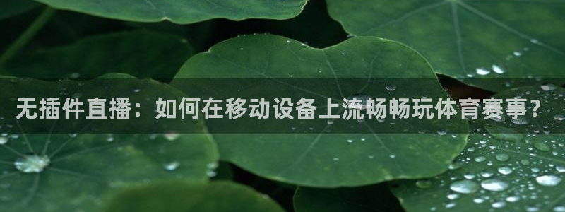 833直播如何下载到手机：无插件直播：如何在移动设备上流畅畅玩体育赛事？
