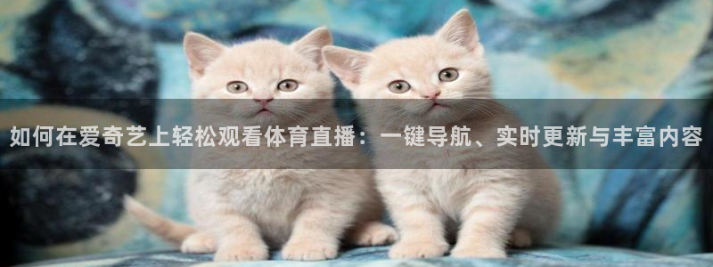 833直播免费体育直播在线观看高清：如何在爱奇艺上轻松观看体育直播：一键导航、实时更新与丰富内容