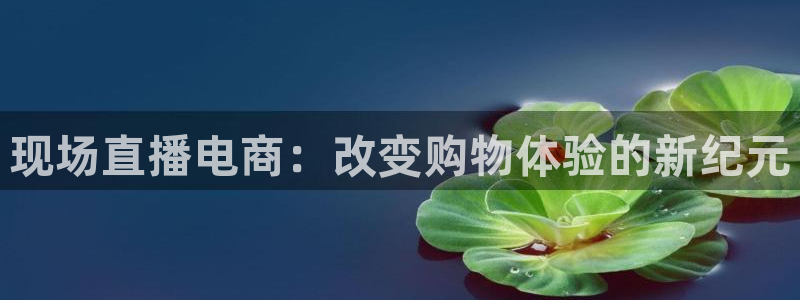 833直播网：现场直播电商：改变购物体验的新纪元