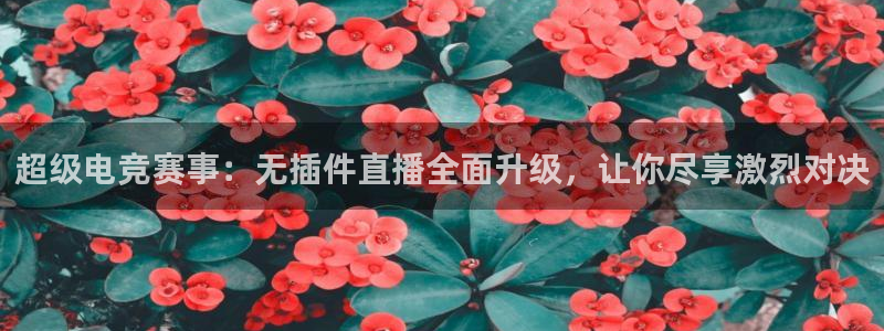 nba833直播免费观看直播在线：超级电竞赛事：无插件直播全面升级，让你尽享激烈对决