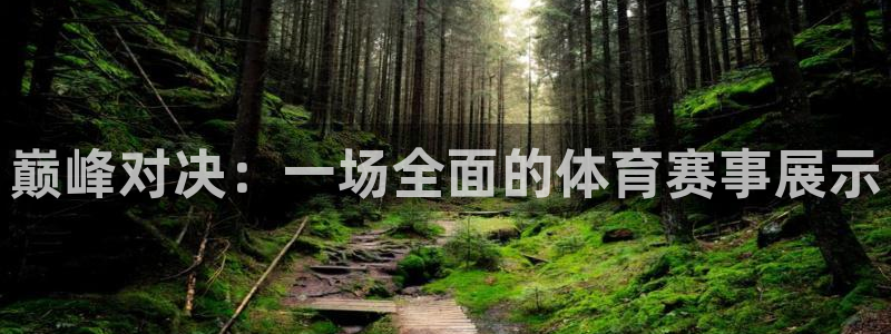 833直播下载步骤：巅峰对决：一场全面的体育赛事展示