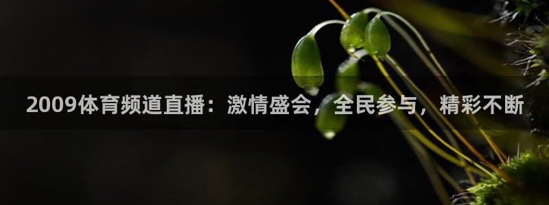 833直播足球赛事推荐：2009体育频道直播：激情盛会，全民参与，精彩不断
